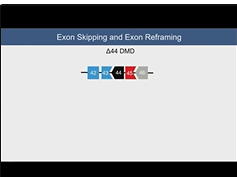 Gene Editing for DMD