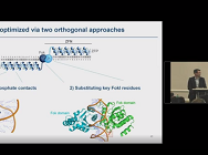 Gene Modification of Hematopoietic Stem Cells for the Research and Treatment of Hemoglobinopathies Gene Modification of Hematopoietic Stem Cells for the Research and Treatment of Hemoglobinopathies