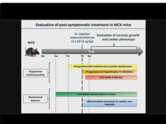 Gene Therapy for Cardiac Symptoms in Friedreichs Ataxia