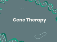 Gene Therapy for Inherited Retinal Diseases