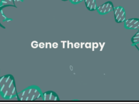 Gene Therapy for MPS