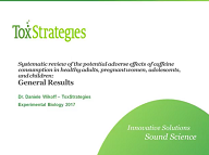 General Results of the Systematic Review