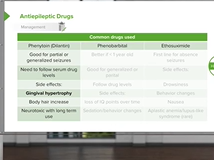 Generalized Seizures in Children - Pediatric Neurology