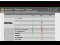Generation of Hematopoietic Stem and Progenitor Cells from iPSCs