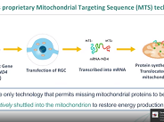 GenSight: Disruptive Gene Therapy in Retinal and Neurodegenerative Disease