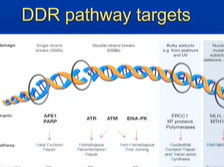 Germline Genomic Syndromes... (D2P8) Germline Genomic Syndromes... (D2P8)