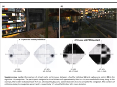 Glaucoma Disability During Virtual Reality (VR) City Navigation at Day and Night Glaucoma Disability During Virtual Reality (VR) City Navigation at Day and Night