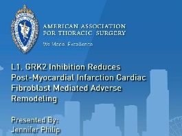 L'inhibition du GRK2 réduit le remodelage du myocarde post-infarctus L'inhibition du GRK2 réduit le remodelage du myocarde post-infarctus