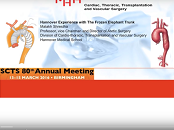 Hannover experience with the Frozen Elephant Trunk