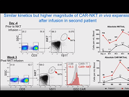 Harnessing Naturaland Engineered Properties of iNKT cells for Adoptive Cancer Immunotherapy Harnessing Naturaland Engineered Properties of iNKT cells for Adoptive Cancer Immunotherapy