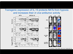 Harnessing Naturaland Engineered Properties of iNKT cells for Adoptive Cancer Immunotherapy Harnessing Naturaland Engineered Properties of iNKT cells for Adoptive Cancer Immunotherapy
