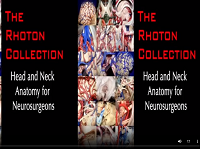 Head and Neck Anatomy for Neurosurgeons (3D TV) Head and Neck Anatomy for Neurosurgeons (3D TV)