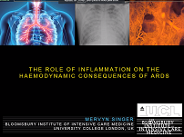 Hemodynamic alterations in ARDS  The role of inflammation