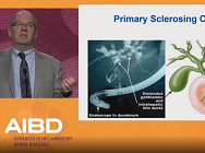 Hepatobiliary manifestations and IBD