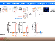 Hide and seek: Reservoirs and strategies to target them