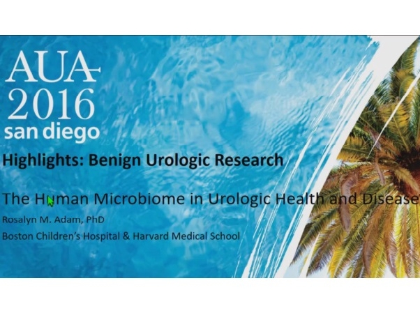 Highlights: Benign Urologic Research