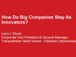How Do Big Companies Stay as Innovators?