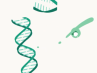 How Do Clinical Trials Work?