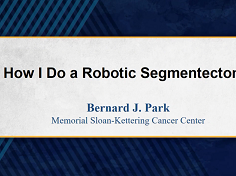 How I Do a Robotic Segmentectomy