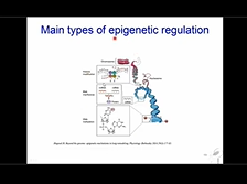 How Pain Shapes the Brain: Impact of Childhood Trauma on Suicide Risk