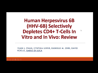 Human Herpesvirus 6B (HHV-6B) Selectively Depletes CD4+ Cells In Vitro and In Vivo: Review Human Herpesvirus 6B (HHV-6B) Selectively Depletes CD4+ Cells In Vitro and In Vivo: Review