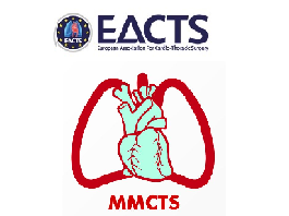 Hybrid repair of aortic arch pathology