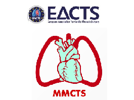 Hybrid thoracoscopic epicardial and catheter-based endocardial ablation
