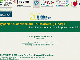 Hypertension pulmonaire : interaction cellulaire dans la paroi vasculaire