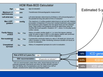 Hypertrophic Cardiomyopathy: Current Understanding and Knowledge Gaps