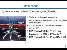 IACH Webinar Series: What should you know on what is new in aplastic anemia