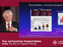 Immune Function in CLL: What is Wrong and Why? Immune Function in CLL: What is Wrong and Why?