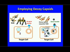 Immunogenicity of AAV Vectors and Transgenes - Roland Herzog