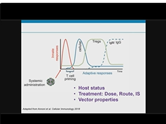 Immunological Considerations of rAAV Gene Therapy