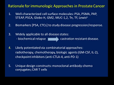 Immunotherapeutic Approaches in Prostate Cancer: Combinations and Clinical Integration Immunotherapeutic Approaches in Prostate Cancer: Combinations and Clinical Integration