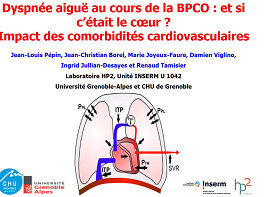 Impact des co-morbidités cardiovasculaires