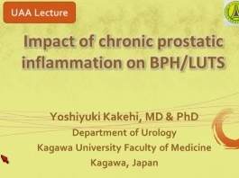 Impact de l'inflammation chronique de la prostate sur l'HBP/TUBA