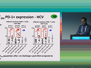 Impairment of CD8 T cell memory in DAA treated HCV/HIV co-infected patients