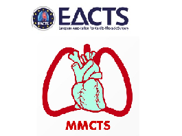 Implantation of the continuous flow HeartWare® left ventricular assist device