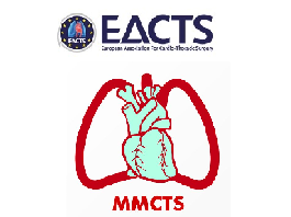 Implanting neochordae for the repair of mitral valve prolapse