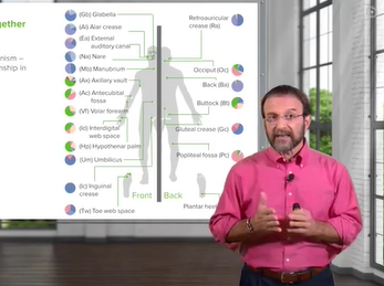 Importance of Microbes: Bacterial Diseases _ Microbiology _ Lecturio