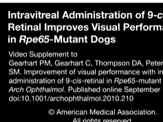 Improvement of Visual Performance With Intravitreal Administration of 9-cis-Retinal in Rpe65-Mutant Improvement of Visual Performance With Intravitreal Administration of 9-cis-Retinal in Rpe65-Mutant