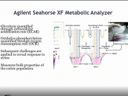 In vivo optical imaging and insights into human disease