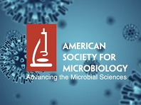 Increasing the universal blood donor pool with the help of bacteria