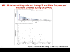 Indications for allogeneic stem cell transplantation in AML