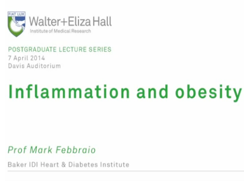 Inflammation and obesity