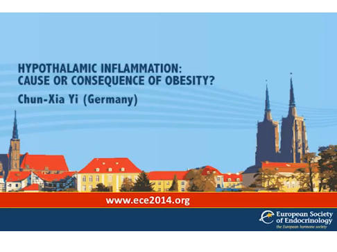 Inflammation hypothalamique : cause ou conséquence de l'obésité ? Inflammation hypothalamique : cause ou conséquence de l'obésité ?