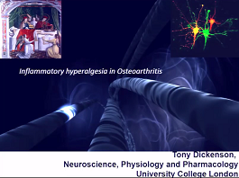 Inflammatory Hyperalgesia in Oesteoarthritis