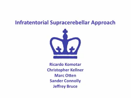 Infratentorial Supracerebellar Approach