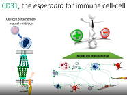 Innovations and technology transfer success stories Innovations and technology transfer success stories