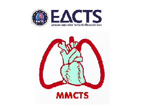 Intermediate-fidelity simulator for self-training in mitral valve surgery
